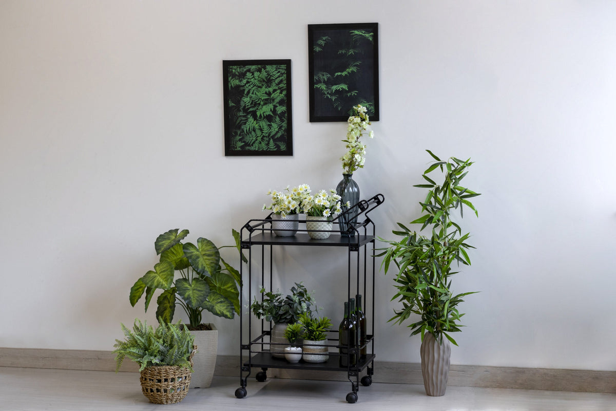 Organização da Casa para a Primavera: Dicas de Produtos Essenciais
