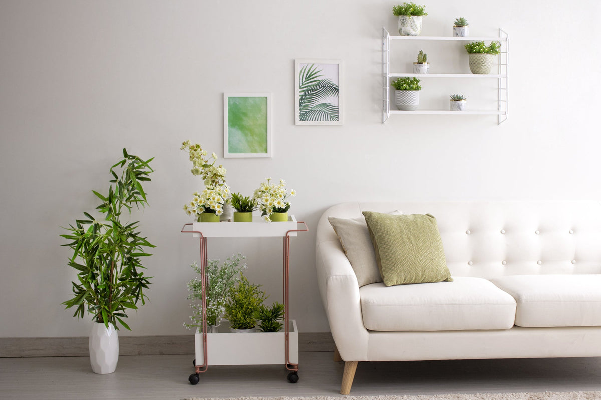 Jardim vertical: Como montar em casa