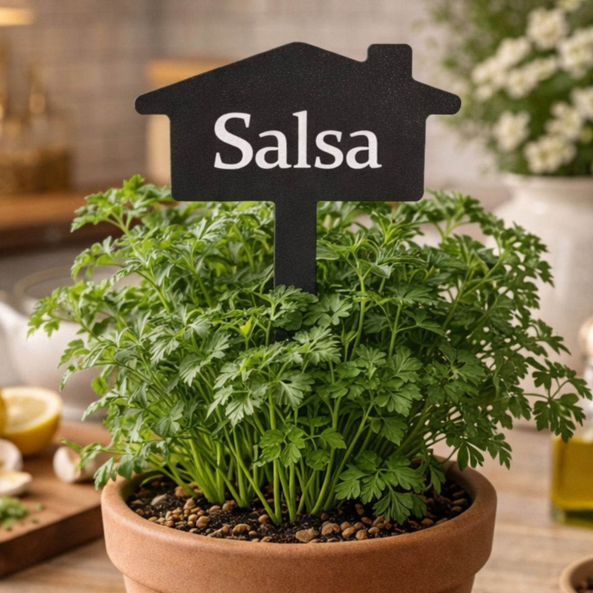 Plaquinha Aramada Salsa