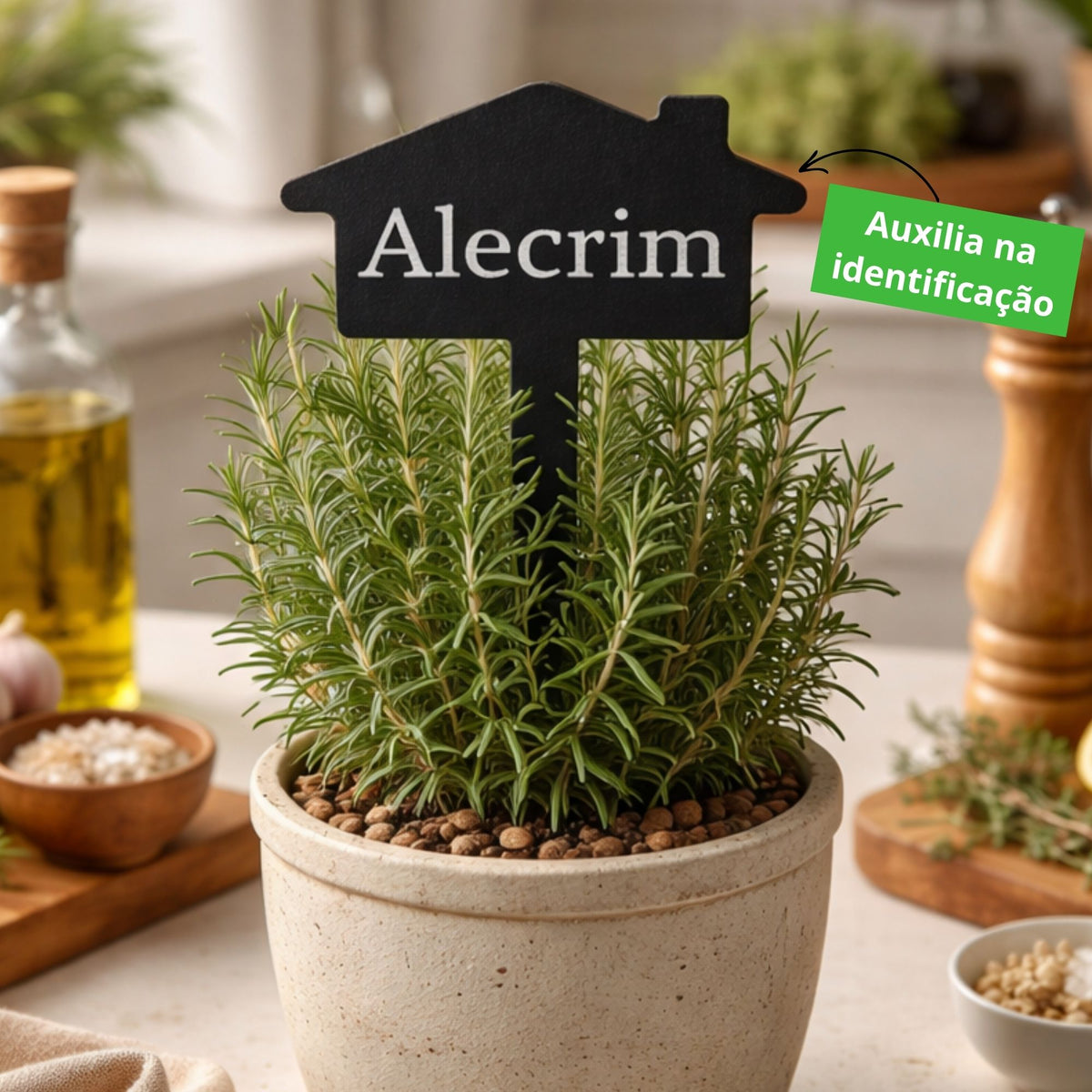 Plaquinha Identificadora para Plantas Alecrim – Marcador Decorativo para Horta, Vaso e Jardim em Aço